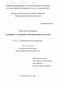 Литвак, Нелли Владимировна. Адаптивное управление конфликтными потоками: дис. кандидат физико-математических наук: 05.13.17 - Теоретические основы информатики. Нижний Новгород. 1998. 237 с.