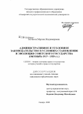 Кочкина, Марина Владимировна. Административное и уголовное законодательство в условиях становления и эволюции Советского государства: октябрь 1917-1929 гг.: дис. кандидат юридических наук: 12.00.01 - Теория и история права и государства; история учений о праве и государстве. Саратов. 2008. 199 с.