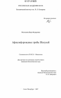 Малышева, Вера Федоровна. Афиллофороидные грибы Жигулей: дис. кандидат биологических наук: 03.00.24 - Микология. Санкт-Петербург. 2007. 199 с.