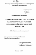 Наумкина, Елена Михайловна. Активность промотора гена пататина класса I картофеля в условиях гомологичной и гетерологичной экспрессии: дис. кандидат биологических наук: 03.00.12 - Физиология и биохимия растений. Москва. 2007. 188 с.