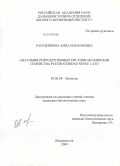 Расщепкина, Анна Васильевна. Анатомия репродуктивных органов моллюсков семейства Pleuroceridae sensu lato: дис. кандидат биологических наук: 03.00.08 - Зоология. Владивосток. 2009. 103 с.