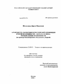 Шульгина, Дарья Павловна. Архитектура эклектики в российской провинции второй половины XIX – начала XX века: региональные особенности (на примере Владимирской и Калужской губерний): дис. кандидат искусствоведения: 24.00.01 - Теория и история культуры. Москва. 2009. 243 с.