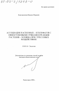 Константинов, Максим Юрьевич. Ассоциация насекомых-ксилофагов с офиостомовыми грибами и реакция растения-хозяина при стрессовых воздействиях: дис. кандидат биологических наук: 03.00.16 - Экология. Красноярск. 2003. 142 с.