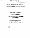Болысов, Сергей Иванович. Биогенное рельефообразование на суше: дис. доктор географических наук: 25.00.25 - Геоморфология и эволюционная география. Москва. 2003. 901 с.