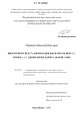 Марченко, Василий Юрьевич. Биологическое разнообразие вариантов вируса гриппа A у диких птиц Центральной Азии: дис. кандидат биологических наук: 06.02.02 - Кормление сельскохозяйственных животных и технология кормов. Новосибирск. 2012. 155 с.