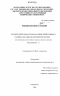 Инешин, Евгений Матвеевич. Человек и природная среда на рубеже плейстоцена и голоцена на Байкало-Патомском нагорье: по материалам многослойного археологического объекта Большой Якорь-I: дис. кандидат исторических наук: 07.00.06 - Археология. Владивосток. 2006. 329 с.
