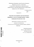 Кальясов, Павел Сергеевич. Численное моделирование аэрогидродинамики амфибийных судов на воздушной подушке с гибким ограждением баллонетного типа: дис. кандидат технических наук: 01.02.06 - Динамика, прочность машин, приборов и аппаратуры. Нижний Новгород. 2011. 137 с.