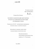 Комаров, Илья Юрьевич. Численное моделирование многомерных процессов в химически реагирующих проницаемых средах: дис. кандидат физико-математических наук: 05.13.18 - Математическое моделирование, численные методы и комплексы программ. Тула. 2006. 114 с.