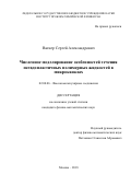 Вагнер, Сергей Александрович. Численное моделирование особенностей течения псевдопластичных полимерных жидкостей в микроканалах: дис. кандидат наук: 02.00.06 - Высокомолекулярные соединения. Москва. 2018. 141 с.