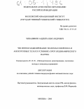 Чипашвили, Андрей Александрович. Численное моделирование тепломассопереноса в анизотропных телах в условиях аэрогазодинамического нагрева: дис. кандидат физико-математических наук: 05.13.18 - Математическое моделирование, численные методы и комплексы программ. Москва. 2005. 182 с.