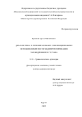 Ермаков Артем Михайлович. Диагностика и лечение инфекционных осложнений после эндопротезирования тазобедренного сустава: дис. доктор наук: 00.00.00 - Другие cпециальности. ФГБУ «Национальный медицинский исследовательский центр травматологии и ортопедии имени академика Г.А. Илизарова» Министерства здравоохранения Российской Федерации. 2023. 255 с.