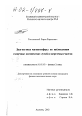 Гвоздевский, Борис Борисович. Диагностика магнитосферы по наблюдениям солнечных космических лучей и энергичных частиц: дис. кандидат физико-математических наук: 01.03.03 - Физика Солнца. Апатиты. 2002. 116 с.