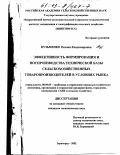 Кузьменко, Оксана Владимировна. Эффективность формирования и воспроизводства технической базы сельскохозяйственных товаропроизводителей в условиях рынка: дис. кандидат экономических наук: 08.00.05 - Экономика и управление народным хозяйством: теория управления экономическими системами; макроэкономика; экономика, организация и управление предприятиями, отраслями, комплексами; управление инновациями; региональная экономика; логистика; экономика труда. Зерноград. 2002. 150 с.