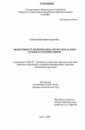 Семенова, Екатерина Сергеевна. Эффективность модернизации автобусных парков городов и регионов Сибири: дис. кандидат экономических наук: 08.00.05 - Экономика и управление народным хозяйством: теория управления экономическими системами; макроэкономика; экономика, организация и управление предприятиями, отраслями, комплексами; управление инновациями; региональная экономика; логистика; экономика труда. Омск. 2006. 160 с.