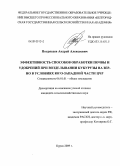 Потрясаев, Андрей Алексеевич. Эффективность способов обработки почвы и удобрений при возделывании кукурузы на зерно в условиях юго-западной части ЦЧР: дис. кандидат сельскохозяйственных наук: 06.01.01 - Общее земледелие. Курск. 2009. 114 с.