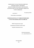 Соколов, Павел Александрович. Эффекты масштаба и условия оптимизации структуры национального хозяйства: дис. кандидат экономических наук: 08.00.01 - Экономическая теория. Санкт-Петербург. 2011. 197 с.