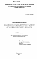 Царькова, Марина Федоровна. Экологическая оценка состояния водоемов агроландшафтов Среднего Приамурья: дис. кандидат биологических наук: 03.00.16 - Экология. Благовещенск. 2007. 131 с.