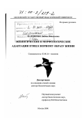 Маловичко, Любовь Васильевна. Экологические и морфологические адаптации птиц к норному образу жизни: дис. доктор биологических наук: 03.00.16 - Экология. Москва. 2000. 396 с.