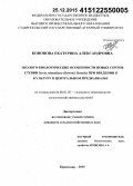 Кононова, Екатерина Александровна. Эколого-биологические особенности новых сортов стевии Stevia rebaudiana (Bertoni) Hemsley при введении в культуру в Центральном Предкавказье: дис. кандидат наук: 06.01.05 - Селекция и семеноводство. Краснодар. 2015. 190 с.