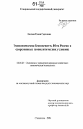 Козлова, Елена Сергеевна. Экономическая безопасность Юга России в современных геополитических условиях: дис. кандидат экономических наук: 08.00.05 - Экономика и управление народным хозяйством: теория управления экономическими системами; макроэкономика; экономика, организация и управление предприятиями, отраслями, комплексами; управление инновациями; региональная экономика; логистика; экономика труда. Ставрополь. 2006. 197 с.