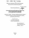 Турковский, Евгений Вадимович. Экономическое обоснование и планирование неродственной диверсификации на промышленном предприятии: дис. кандидат экономических наук: 08.00.05 - Экономика и управление народным хозяйством: теория управления экономическими системами; макроэкономика; экономика, организация и управление предприятиями, отраслями, комплексами; управление инновациями; региональная экономика; логистика; экономика труда. Челябинск. 2004. 190 с.