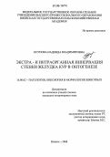 Исупова, Надежда Владимировна. Экстра- и интраорганная иннервация стенки желудка кур в онтогенезе: дис. кандидат ветеринарных наук: 16.00.02 - Патология, онкология и морфология животных. Ижевск. 2006. 157 с.