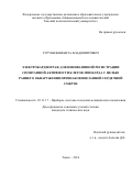 Турушев, Никита Владимирович. Электрокардиограф для неинвазивной регистрации спонтанной активности клеток миокарда с целью раннего обнаружения признаков внезапной сердечной смерти: дис. кандидат наук: 05.11.17 - Приборы, системы и изделия медицинского назначения. Томск. 2016. 303 с.