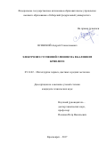Ясинский, Андрей Станиславович. Электролиз суспензий глинозема в калиевом криолите: дис. кандидат наук: 05.16.02 - Металлургия черных, цветных и редких металлов. Красноярск. 2017. 152 с.