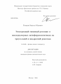 Поваров, Кирилл Юрьевич. Электронный спиновый резонанс в квазидвумерных антиферромагнетиках на треугольной и квадратной решетках: дис. кандидат физико-математических наук: 01.04.09 - Физика низких температур. Москва. 2013. 191 с.