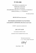 Шелепаев, Роман Аркадиевич. Эволюция базитового магматизма Западного Сангилена: Юго-Восточная Тува: дис. кандидат геолого-минералогических наук: 25.00.04 - Петрология, вулканология. Новосибирск. 2006. 156 с.
