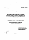 Савельев, Владимир Александрович. Эволюция хозяйственных представлений крестьянства и казачества на Дону и Кубани в условиях новой экономической политики: 1921-1929 гг.: дис. кандидат исторических наук: 07.00.02 - Отечественная история. Армавир. 2009. 179 с.