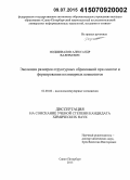 Подшивалов, Александр Валерьевич. Эволюция размеров структурных образований при синтезе и формировании полимерных композитов: дис. кандидат наук: 02.00.06 - Высокомолекулярные соединения. Санкт-Петербург. 2015. 136 с.
