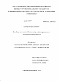 Бренер, Иосиф Семенович. Еврейская автономная область: между мифом и реальностью: культурологический анализ: дис. кандидат культурологии: 24.00.01 - Теория и история культуры. Комсомольск-на-Амуре. 2010. 164 с.