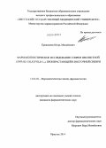 Кривошеев, Игорь Михайлович. Фармакогностическое исследование спиреи иволистной (Spiraea salicifolia L.), произрастающей в Восточной Сибири: дис. кандидат наук: 14.04.02 - Фармацевтическая химия, фармакогнозия. Улан-Удэ. 2014. 212 с.