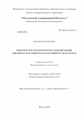Евдокимов, Илья Евгеньевич. Физическое и математическое моделирование теплового излучения пространственного излучателя: дис. кандидат физико-математических наук: 01.02.05 - Механика жидкости, газа и плазмы. Москва. 2013. 139 с.