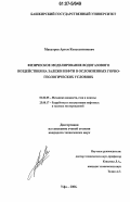 Макатров, Артем Константинович. Физическое моделирование водогазового воздействия на залежи нефти в осложненных горно-геологических условиях: дис. кандидат технических наук: 01.02.05 - Механика жидкости, газа и плазмы. Уфа. 2006. 135 с.