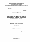 Иканина, Елена Васильевна. Физико-химические закономерности синтеза, микроструктура и функциональные свойства композиционного сорбента катионит КУ-2х8 - гидроксид железа(III): дис. кандидат наук: 02.00.04 - Физическая химия. Екатеринбург. 2013. 176 с.