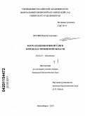 Драчев, Никита Сергеевич. Флора подзоны южной тайги в пределах Тюменской области: дис. кандидат биологических наук: 03.02.01 - Ботаника. Новосибирск. 2010. 638 с.