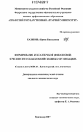 Калинина, Ирина Николаевна. Формирование бухгалтерской (финансовой) отчетности в сельскохозяйственных организациях: дис. кандидат экономических наук: 08.00.12 - Бухгалтерский учет, статистика. Краснодар. 2007. 209 с.