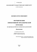 Калабин, Антон Алексеевич. Формирование эффективной управленческой команды: На примере российских коммерческих организаций: дис. кандидат социологических наук: 22.00.08 - Социология управления. Москва. 2006. 134 с.