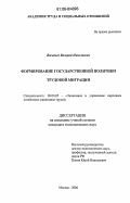 Васильев, Валерий Николаевич. Формирование государственной политики трудовой миграции: дис. кандидат экономических наук: 08.00.05 - Экономика и управление народным хозяйством: теория управления экономическими системами; макроэкономика; экономика, организация и управление предприятиями, отраслями, комплексами; управление инновациями; региональная экономика; логистика; экономика труда. Москва. 2006. 171 с.