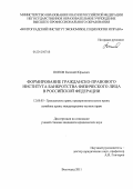 Попов, Евгений Юрьевич. Формирование гражданско-правового института банкротства физического лица в Российской Федерации: дис. кандидат юридических наук: 12.00.03 - Гражданское право; предпринимательское право; семейное право; международное частное право. Волгоград. 2011. 200 с.