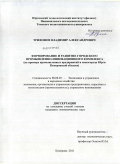 Трифонов, Владимир Александрович. Формирование и развитие городского промышленно-инновационного комплекса: на примере промышленных предприятий и моногорода Юрги Кемеровской области: дис. кандидат экономических наук: 08.00.05 - Экономика и управление народным хозяйством: теория управления экономическими системами; макроэкономика; экономика, организация и управление предприятиями, отраслями, комплексами; управление инновациями; региональная экономика; логистика; экономика труда. Кемерово. 2011. 196 с.