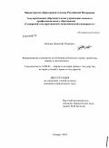 Каждан, Дмитрий Игоревич. Формирование и развитие источников публичного права: проблемы теории и методологии: дис. кандидат юридических наук: 12.00.01 - Теория и история права и государства; история учений о праве и государстве. Самара. 2010. 202 с.