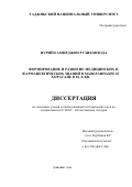 Нуриён Амирджон Рузихонзода. Формирование и развитие медицинских и фармацевтических знаний в Мавераннахре и Хорасане в IX-X вв.: дис. кандидат наук: 07.00.02 - Отечественная история. Таджикский национальный университет. 2019. 169 с.