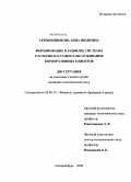 Серебренникова, Анна Ивановна. Формирование и развитие системы расчетно-кассового обслуживания корпоративных клиентов: дис. кандидат экономических наук: 08.00.10 - Финансы, денежное обращение и кредит. Екатеринбург. 2008. 213 с.