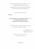 Ашуров, Субхонидин Бурхонович. Формирование и регулирование рынка труда в трудоизбыточном регионе (теория, методология и практика): дис. доктор экономических наук: 08.00.05 - Экономика и управление народным хозяйством: теория управления экономическими системами; макроэкономика; экономика, организация и управление предприятиями, отраслями, комплексами; управление инновациями; региональная экономика; логистика; экономика труда. Душанбе. 2012. 363 с.