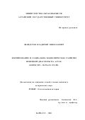 Шайдуров, Владимир Николаевич. Формирование и социально-экономическое развитие немецкой диаспоры на Алтае, конец ХIХ - начало ХХ вв.: дис. кандидат исторических наук: 07.00.02 - Отечественная история. Барнаул. 2001. 251 с.