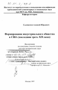 Саломатин, Алексей Юрьевич. Формирование индустриального общества в США, последняя треть XIX века: дис. : 00.00.00 - Другие cпециальности. Москва. 1997. 468 с.