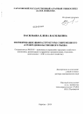 Васильева, Елена Васильевна. Формирование инфраструктуры современного агропродовольственного рынка: дис. доктор экономических наук: 08.00.05 - Экономика и управление народным хозяйством: теория управления экономическими системами; макроэкономика; экономика, организация и управление предприятиями, отраслями, комплексами; управление инновациями; региональная экономика; логистика; экономика труда. Саратов. 2010. 374 с.